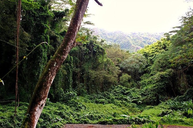 Self guided Hike Trail to Nature Walk & Waterfall - Who will enjoy this hike most?