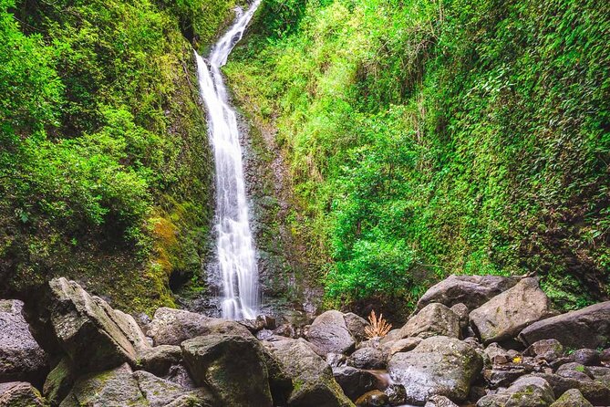 Self Guided Hike Trail to Nature Walk & Waterfall - The ride from Waikiki into Manoa Valley