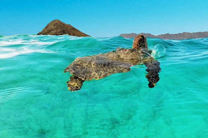 Self-Guided Kayaking Discovery in Kailua, Oahu - Staff help and the self-guided setup