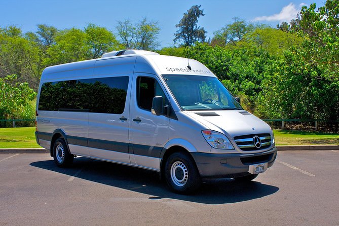 Shared Arrival Transfer: Maui Airport to Hotel - The lei greeting option