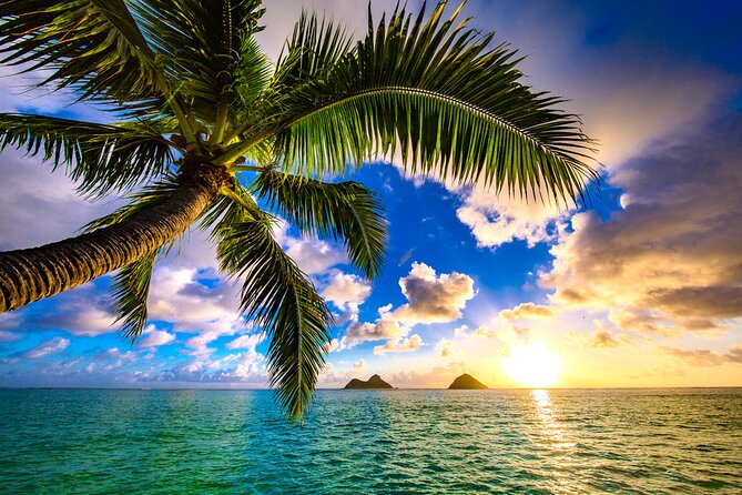 Shared Departure Transfer: Hotel to Maui Kahului Airport - How the price compares