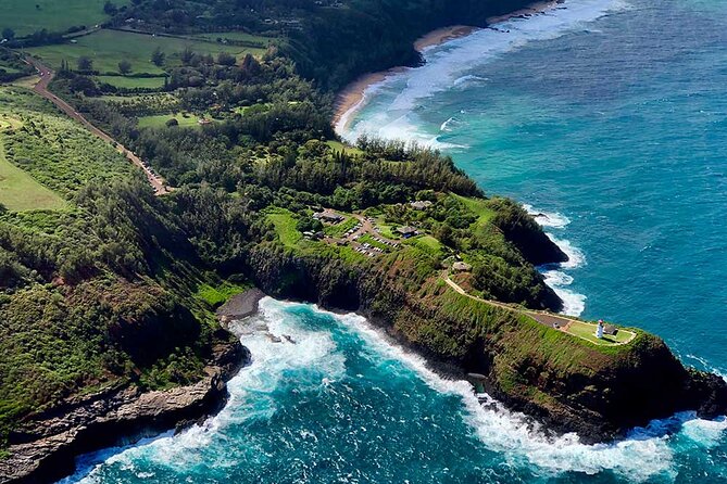 Shared Round-Trip Transfer: Honolulu Airport to Hotel or Cruise Terminal - Price, luggage, and overall value