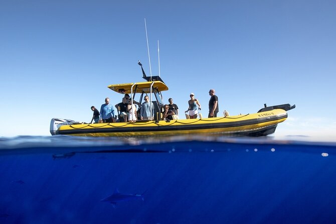 Shark-Dive Tour on Oahu's North Shore - The equipment and time in the water