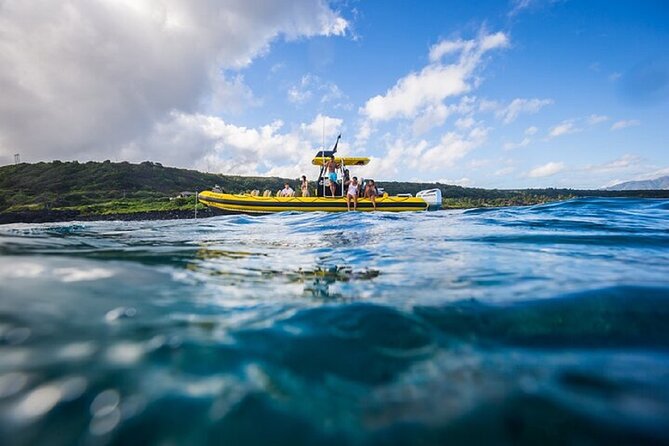 Shark-Dive Tour on Oahu's North Shore - My booking advice
