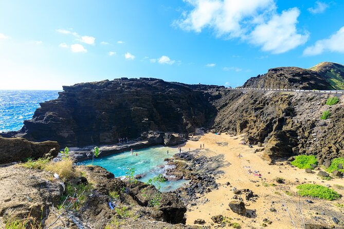 Sights & Bites Ultimate Oahu Circle Island Foodie Tour - Tropical Farms: samples, shopping, and a short break