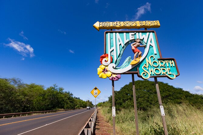 Sights & Bites Ultimate Oahu Circle Island Foodie Tour - Pua‘ena Point and the turtle possibility