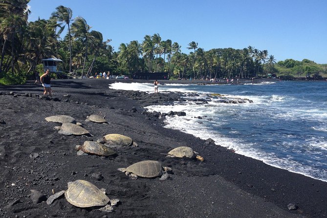 Small-Group Big Island Tour: Hawaii Volcanoes National Park and Kona Coffee Farm - Why this Kona volcano tour works