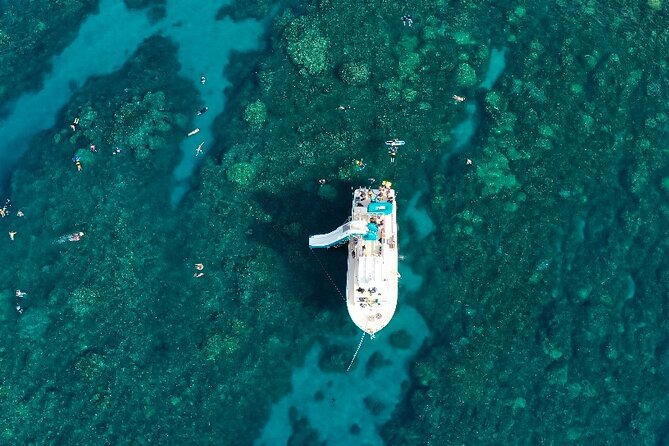 Small Group Coral Gardens Snorkel & Waterslide Adventure - Coral Gardens, the usual snorkeling stop