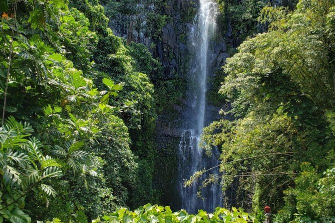 Small-Group Road to Hana Adventure Tour with Pickup & Lunch - Why Riding the Hana Highway Makes Sense