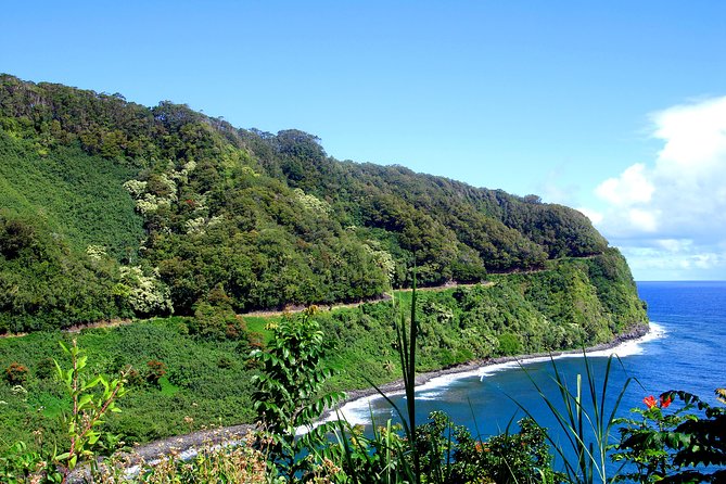 Small-Group Road to Hana Luxury Tour - Kaumahina State Wayside Park gives you an early coastal view