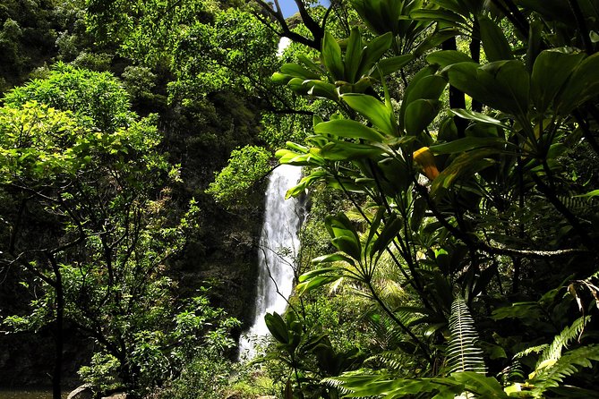 Small-Group Road to Hana Luxury Tour - Waiʻānapanapa is the day’s major visual payoff