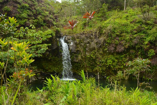 Small-Group Road to Hana Luxury Tour - Hana town is not the whole point