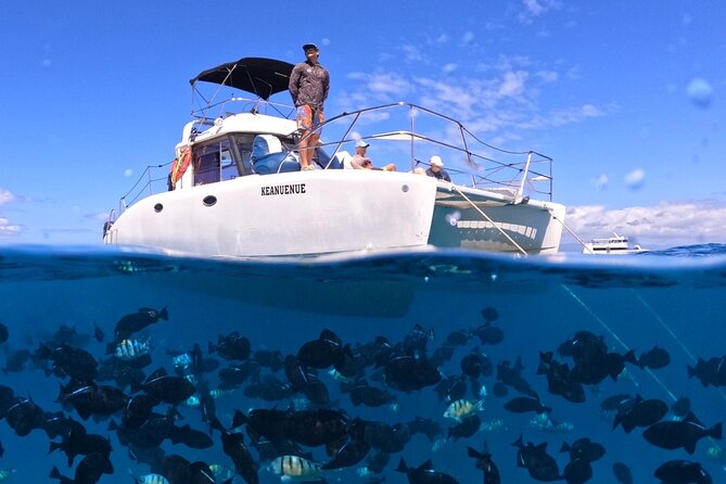 Small Group Turtle Canyon Snorkel in Waikiki (Boat Tour) - Key points before you book