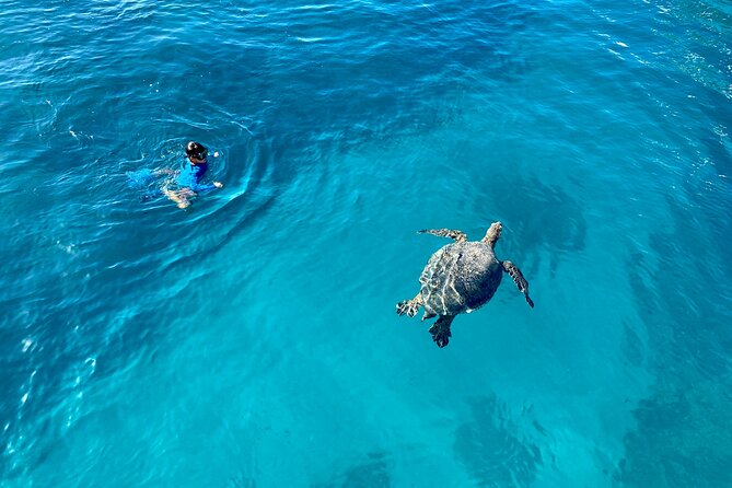 Small Group Turtle Canyon Snorkel in Waikiki (Boat Tour) - Diamond Head views from the water