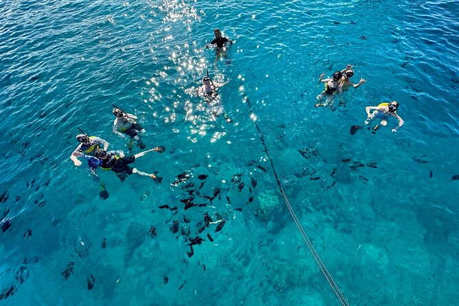 Small Group Turtle Canyon Snorkel in Waikiki (Boat Tour) - From the harbor to Waikiki Beach