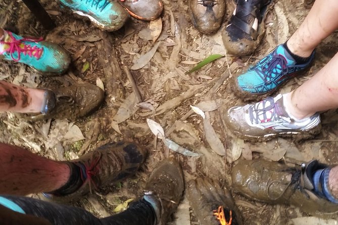 Small Group Waterfall and Rainforest Hiking Adventure on Maui - Starting at Kahului Park & Ride at 9:30 a.m.