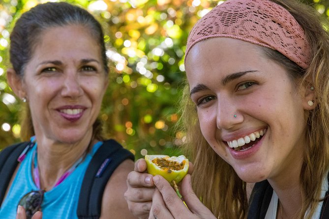 Small Group Waterfall and Rainforest Hiking Adventure on Maui - Swimming beneath waterfalls and choosing your jumps