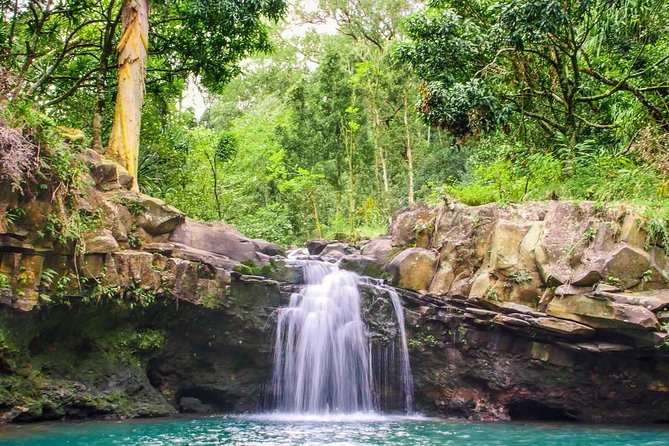 Small Group Waterfall and Rainforest Hiking Adventure on Maui - Lunch, snacks, and the value of $187.43