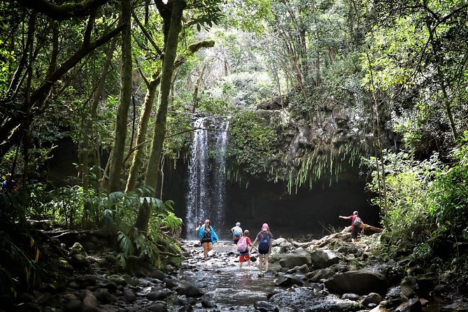 Small Group Waterfall and Rainforest Hiking Adventure on Maui - Following the rainforest trail to Twin Falls