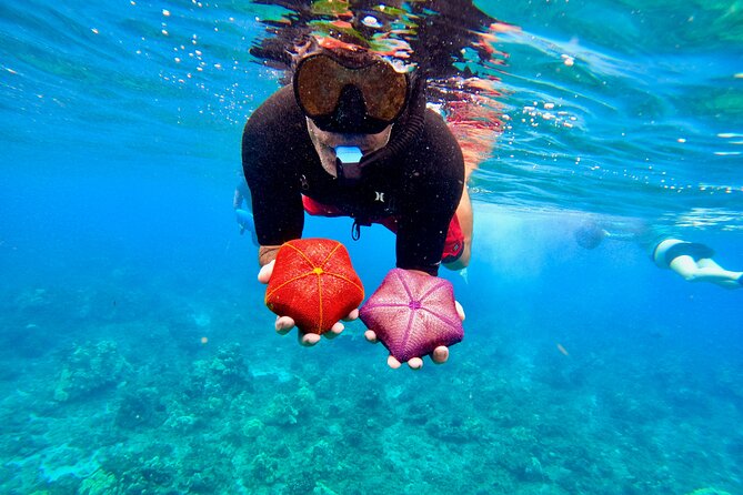 Snorkeling for Non-Swimmers with Photos Guided Tour Wailea Beach - Reaching the reef by paddleboard or inflatable raft