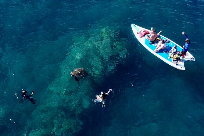 Snorkeling for Non-Swimmers with Photos Guided Tour Wailea Beach - The guides make the biggest difference