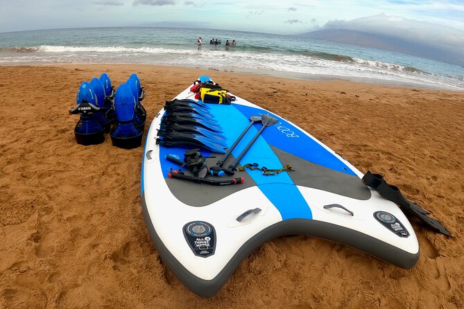 Snorkeling for Non-Swimmers with Photos Guided Tour Wailea Beach - Shallow water practice builds real confidence