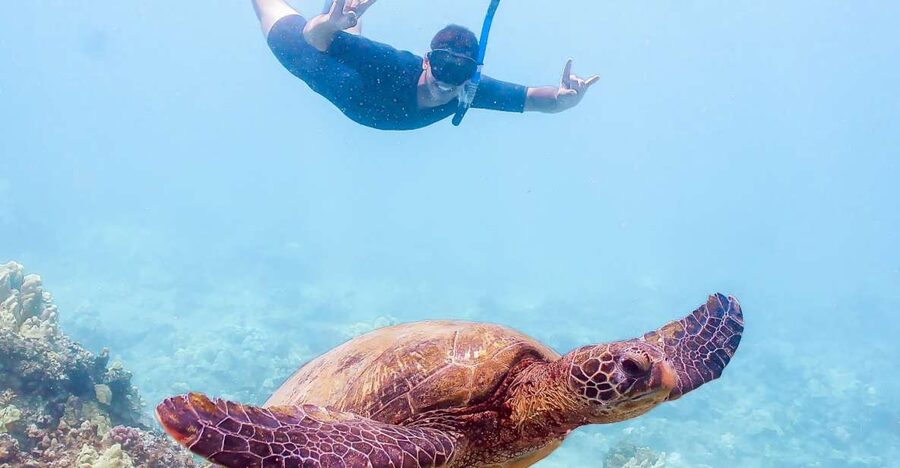 South Maui: Molokini Snorkeling Adventure - Quick take: what makes this cruise worth considering