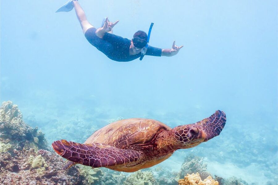 South Maui: Molokini Snorkeling Adventure - Molokini Crater: the main underwater attraction