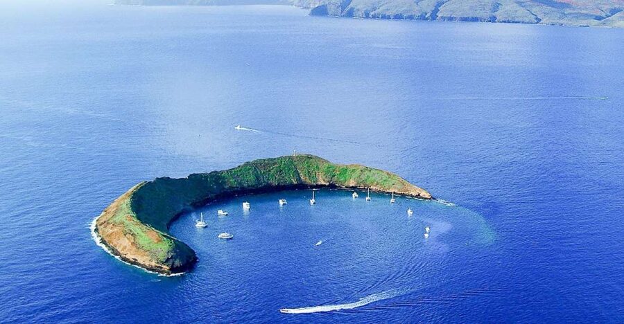 South Maui: Molokini & Turtle Town Snorkeling Tour with Meal - Turtle Town brings a different kind of snorkeling