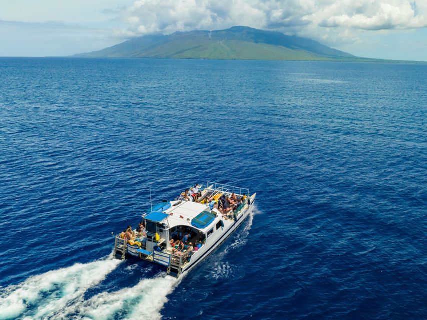 South Maui: Molokini & Turtle Town Snorkeling Tour with Meal - What the $159 price really covers