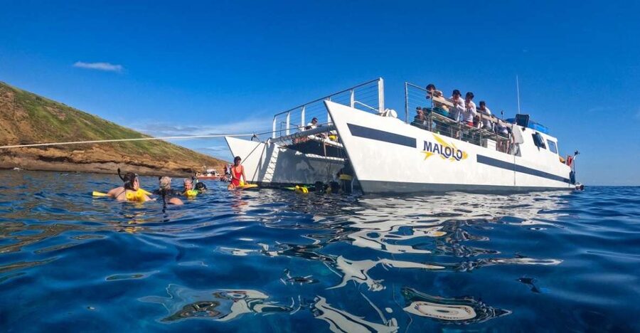 South Maui: Snorkel to Coral Gardens or Molokini Crater - Boarding at Maalaea Harbor