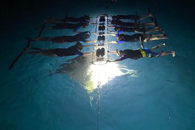 Sunset and Manta Ray Snorkel Adventure - The crew and the safety culture