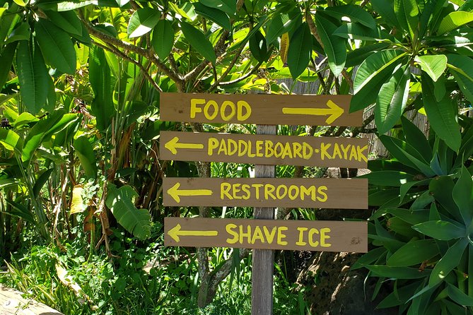 Tour of North Shore & Waimea Waterfall - Macadamia nuts at Tropical Farms