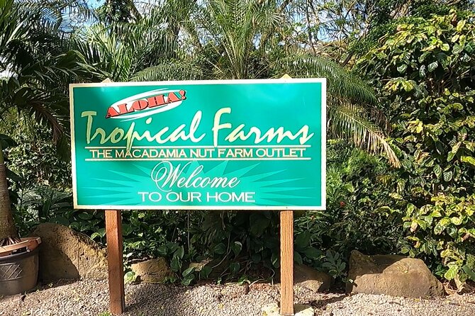 Tour of North Shore & Waimea Waterfall - North Shore lunch at Fumi’s Kahuku Shrimp