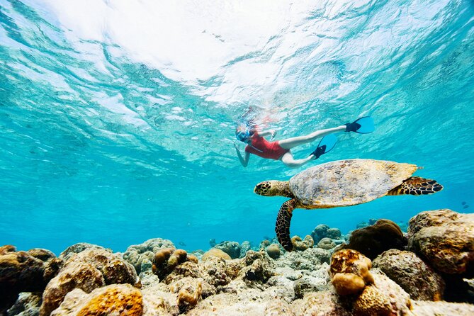 Turtle Canyon Snorkel Adventure - Small Group 6 Passengers - Weather, cancellations, and planning advice