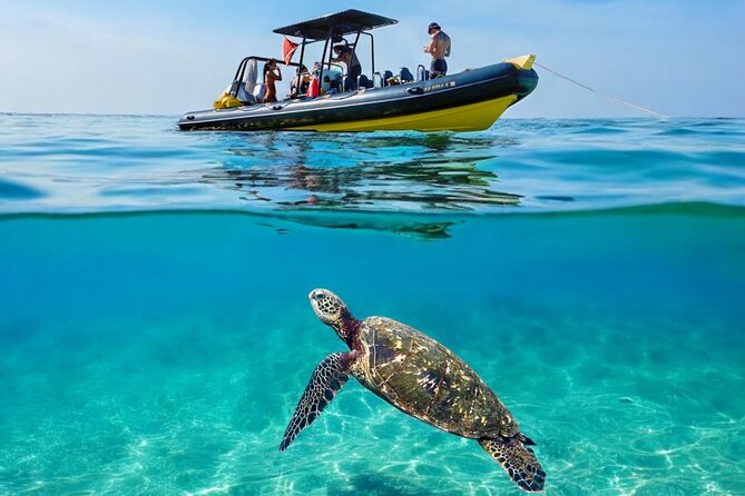 Turtle Canyon Snorkel Adventure - Small Group 6 Passengers - Entering Turtle Canyon with a guide nearby