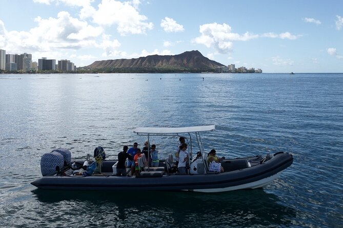 Turtle Canyon Snorkel: Semi Private Boat Tour - Photos, equipment, and what to bring