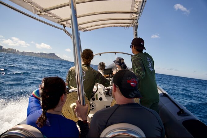 Turtle Canyon Snorkel: Semi Private Boat Tour - What happens at Turtle Canyon