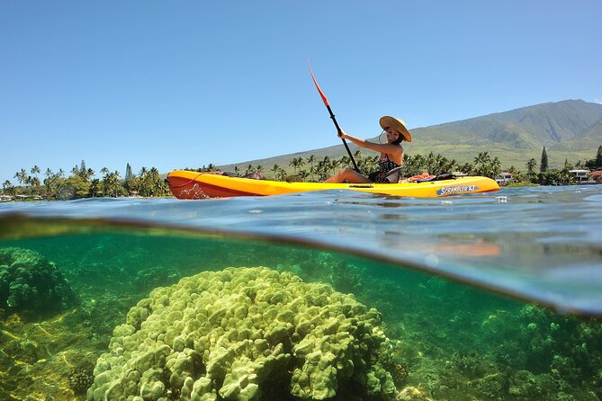 Turtle Reef Kayak Tour of Makena, Maui - What the $121 price includes