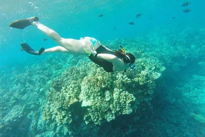 Two Reef Snorkel Trip-See Captain Cook Monument & Sea Caves - Who should book this trip?