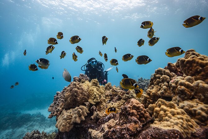 Two Tank Morning Reef Dive and Snorkel - Why Big Island’s volcanic coast is the star