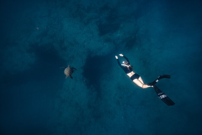 Two Tank Morning Reef Dive and Snorkel - Guide style can shape the underwater experience