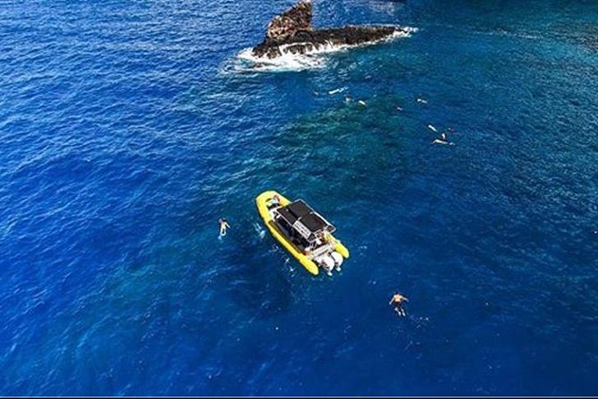 Ultimate 4 Hour Lanai Snorkel and Dolphin Encounter - Dolphins and whales are the bonus that can define the day
