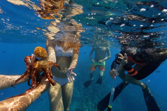 Ultimate 4 Hour Lanai Snorkel and Dolphin Encounter - A crew that watches the details