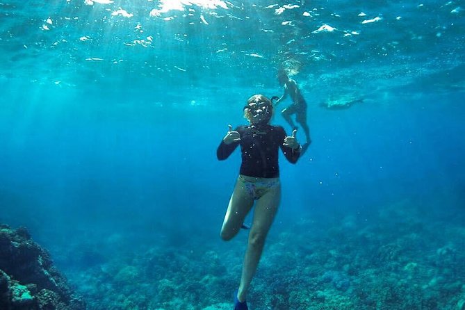 Ultimate 4 Hour Lanai Snorkel and Dolphin Encounter - What is included, and what to bring