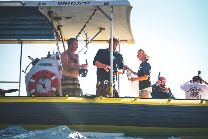 Ultimate 4 Hour Lanai Snorkel and Dolphin Encounter - Who will get the most from this outing
