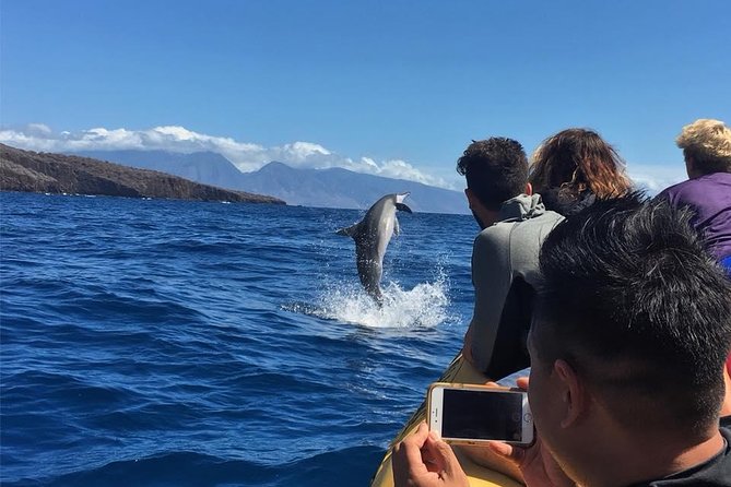 Ultimate 4 Hour Lanai Snorkel and Dolphin Encounter - Second stop: turtles, sharks, and a man-made reef