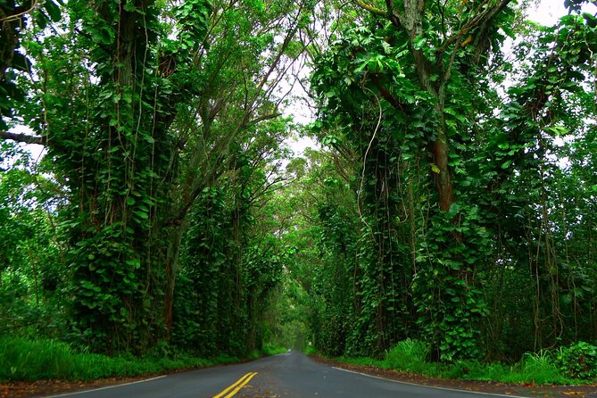 Ultimate Self-Guided Audio Driving Tour of Kauai (Na Pali, Waimea), Hawaii - Red soil, trails, and the climb to Waimea Canyon