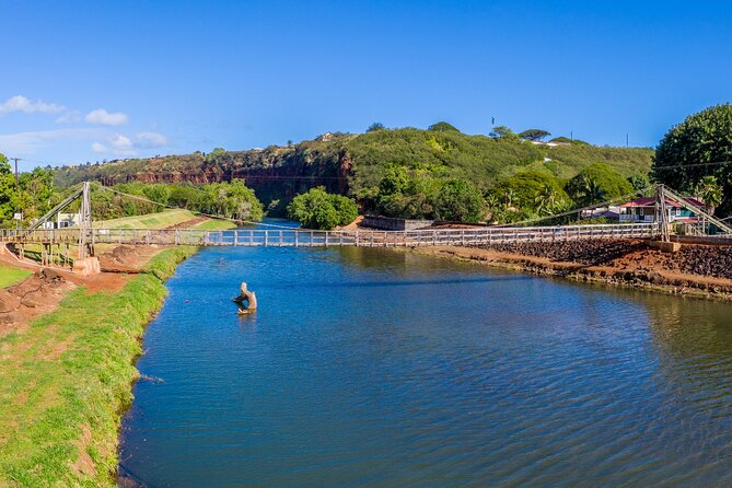 Ultimate Self-Guided Audio Driving Tour of Kauai (Na Pali, Waimea), Hawaii - App setup matters more than the price