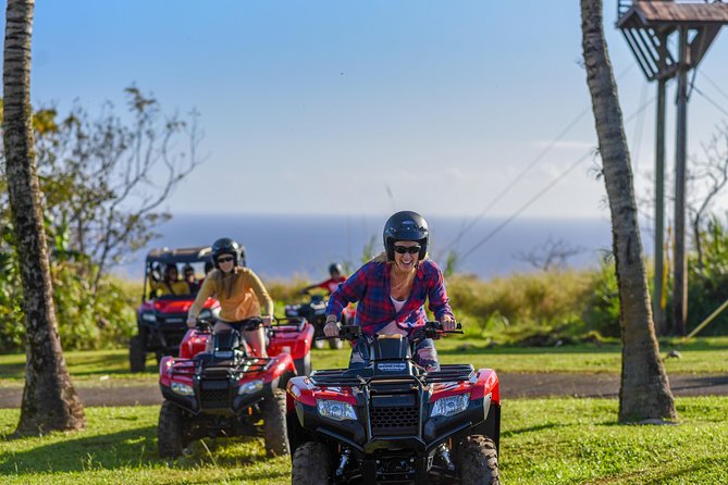 Umauma Falls Deluxe ATV Waterfall and Swim Experience - Umauma Falls and the private swimming pond